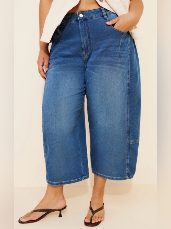 Pilcro by Anthropologie Denim - Anthropologie Pilcro Kenna Mid-Rise Heritage Crop Barrel Jeans Medium Wash 16W